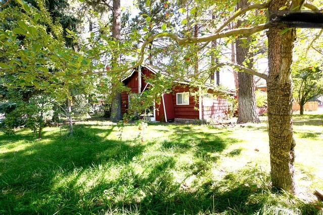 Green Cabin in Big Bear Lake Big Bear City Exterior foto